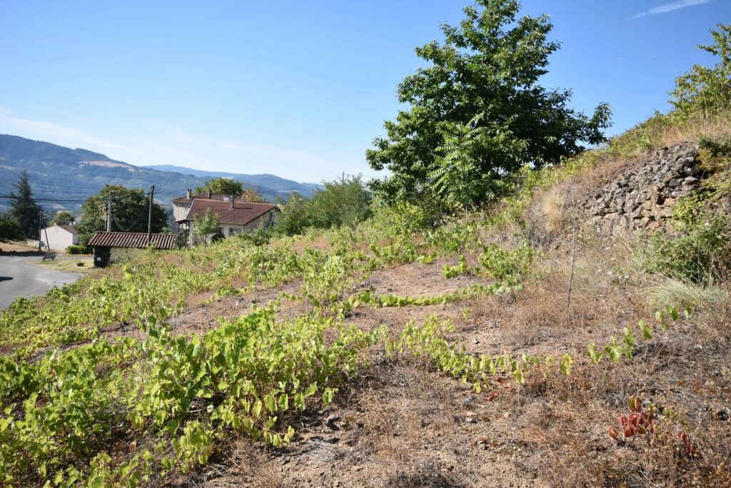 Terrain constructible