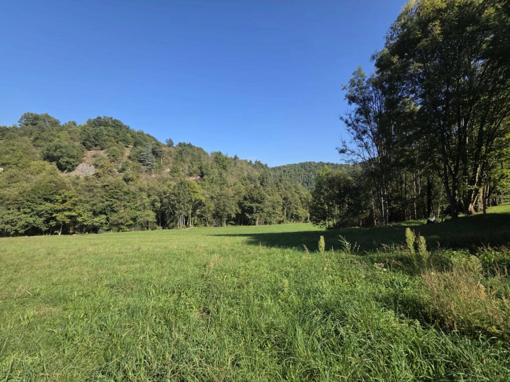 Terrain à Saint-Basile