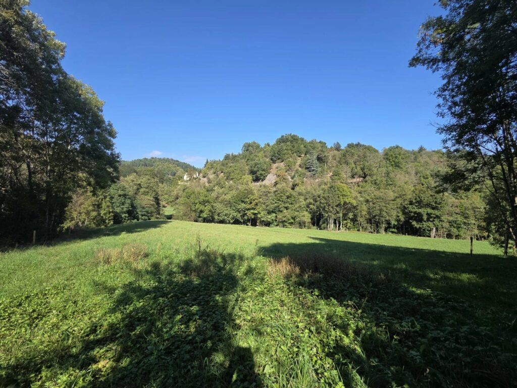 Terrain à Saint-Basile