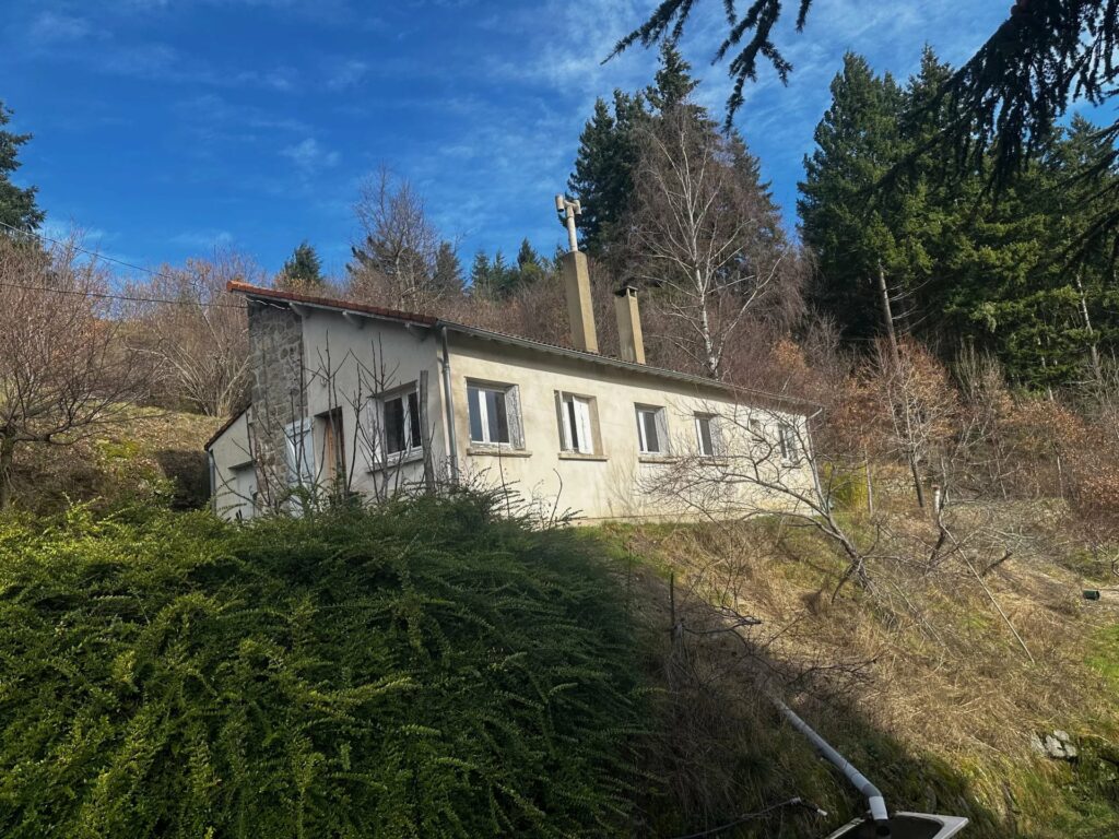 Ensemble de deux maisons avec terrain
