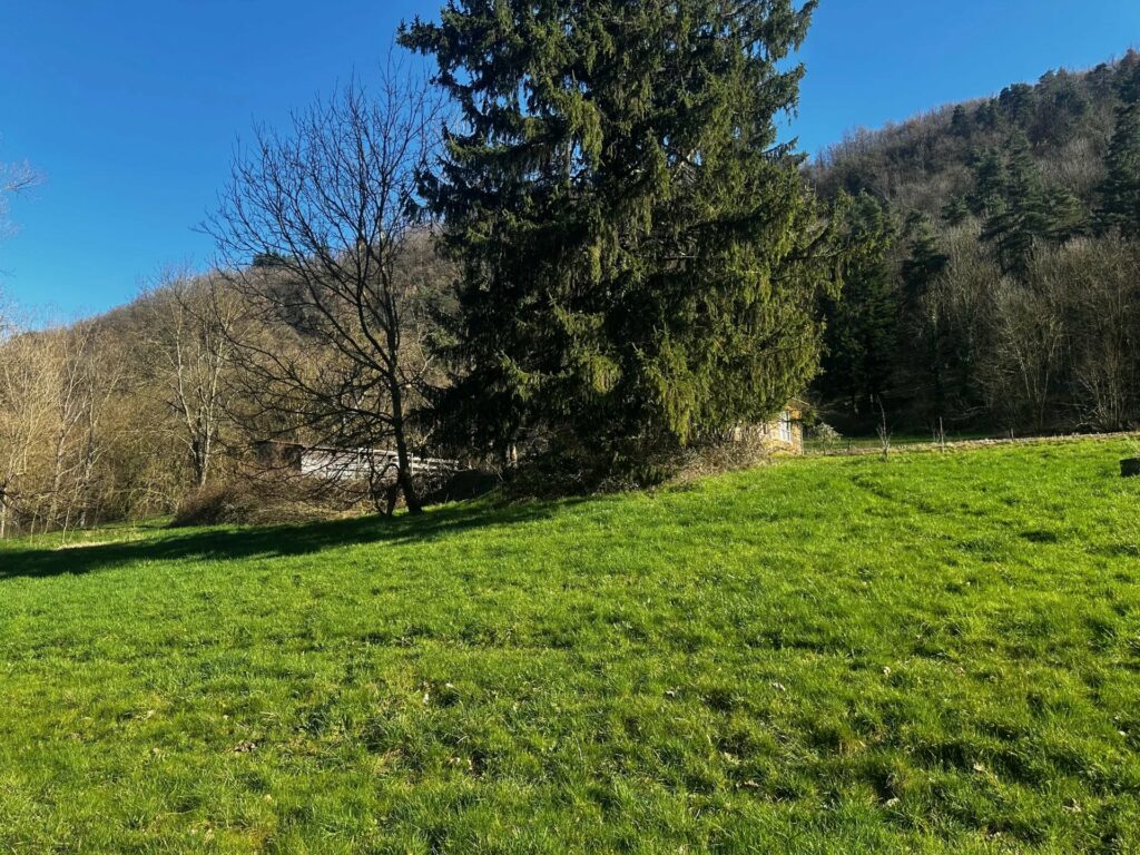 Ensemble immobilier en pierre de pays avec dépendances et terrains