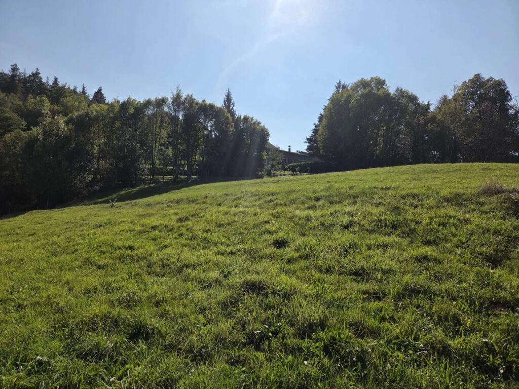 Terrain à Saint-Basile