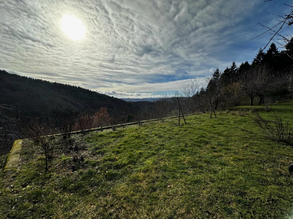 Ensemble de deux maisons avec terrain