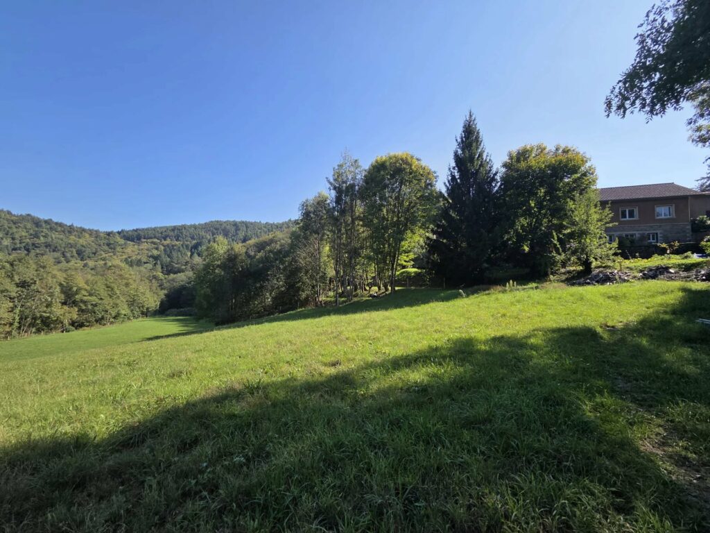 Terrain à Saint-Basile