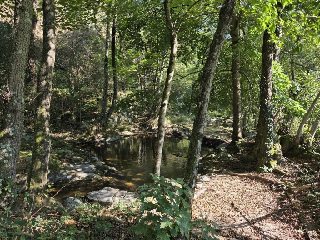 Terrain à Saint-Basile