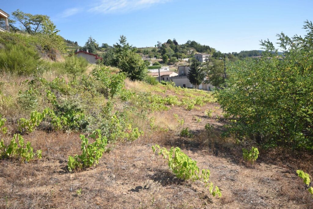 Terrain constructible